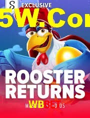 Sports Statistics WBBet